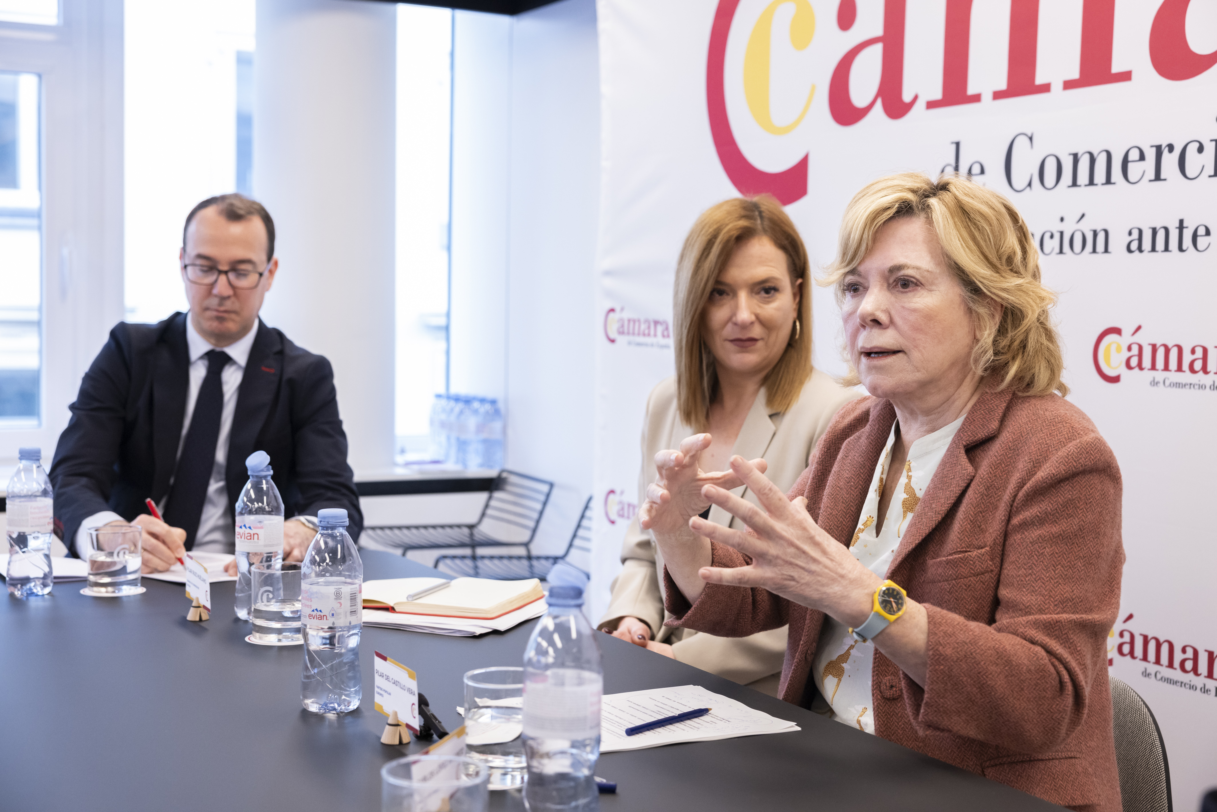 Comisión de Digitalización CCE
