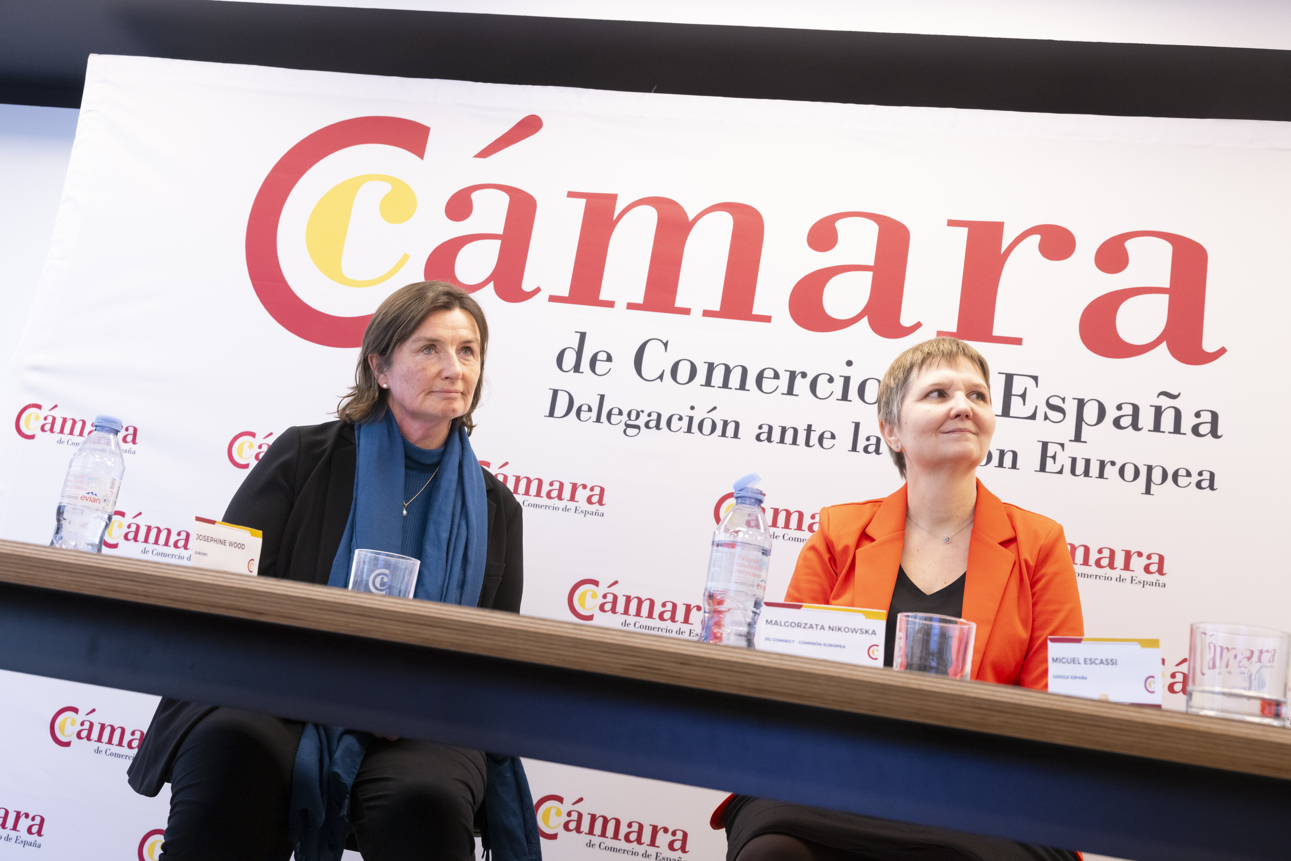 Comisión de Digitalización CCE