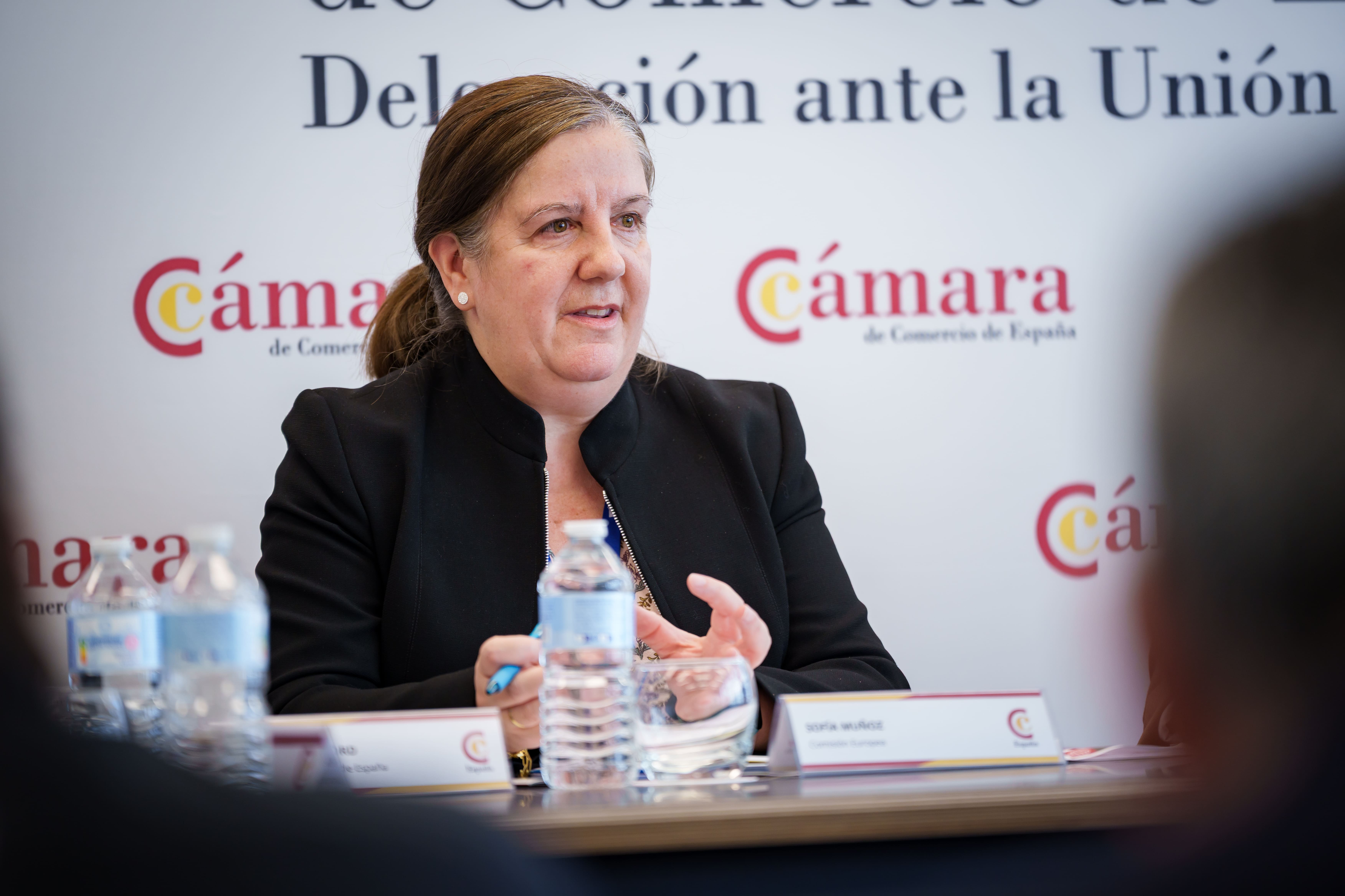 Las Comisiones de Asuntos Europeos e Internacionalización de la Cámara de Comercio de España debaten en Bruselas los desafíos de la acción exterior europea ante el nuevo orden económico global